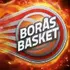 Boras Basket