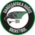 Darussafaka Dogus Istanbul